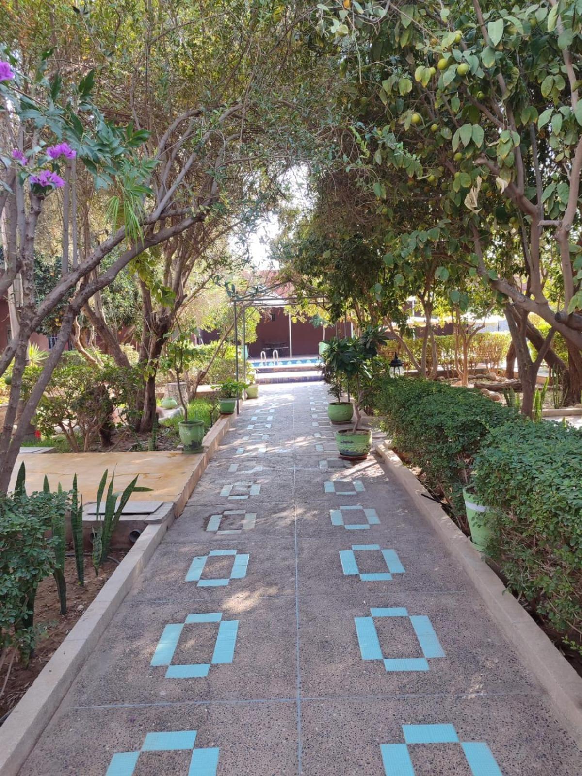 Riad Les Jardins Mabrouk Тарудант Екстер'єр фото